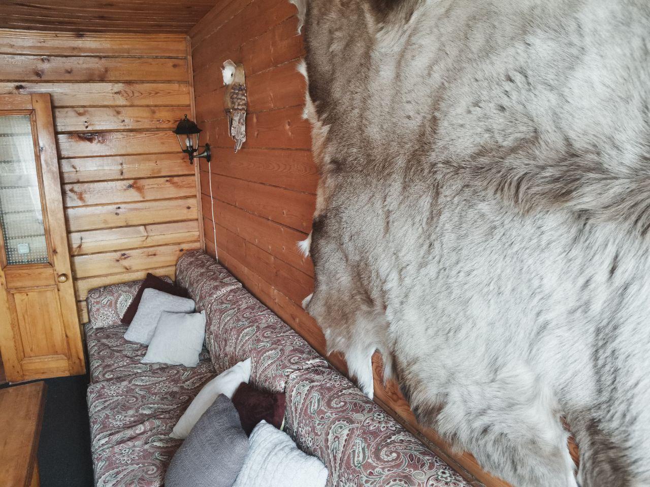 Фото Рыжая сова