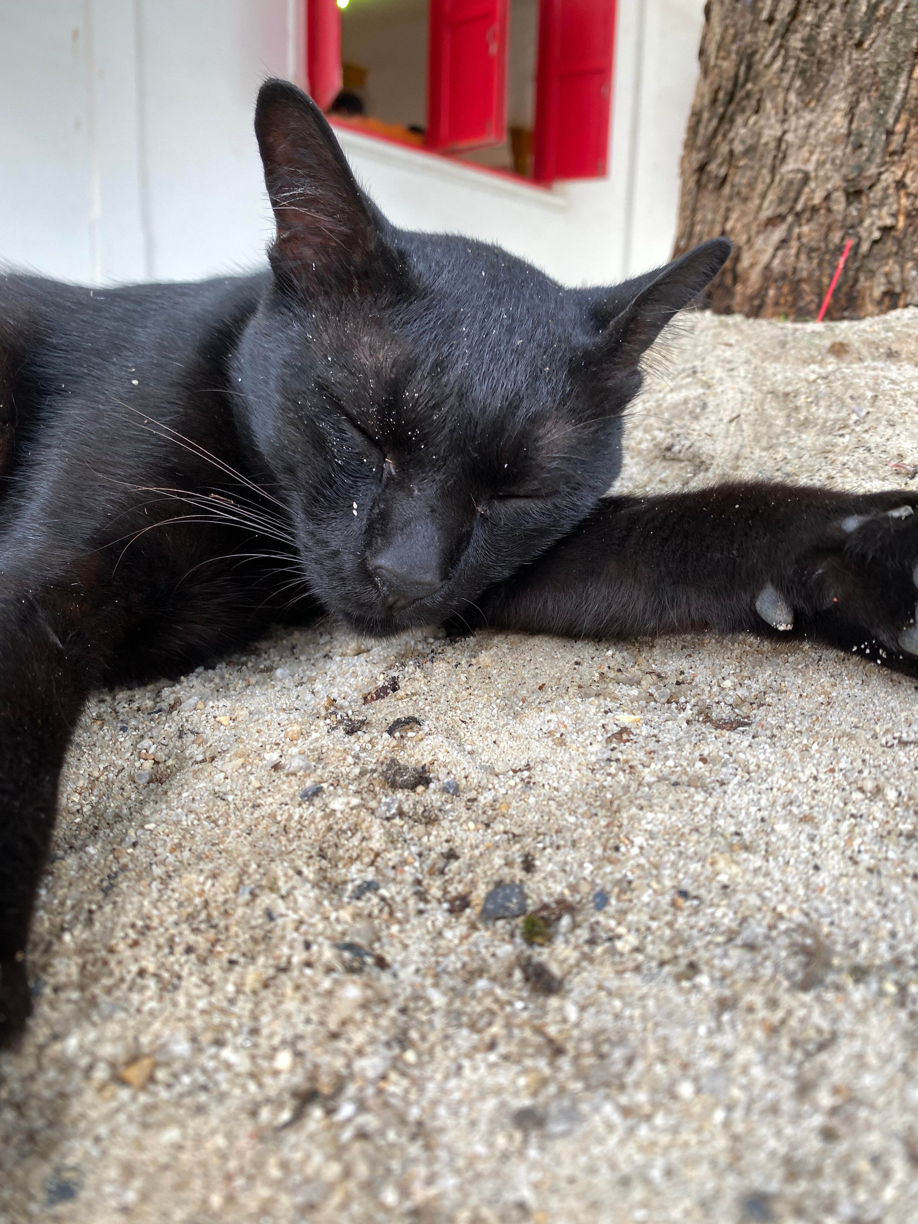 Фото Chanalai Garden Resort