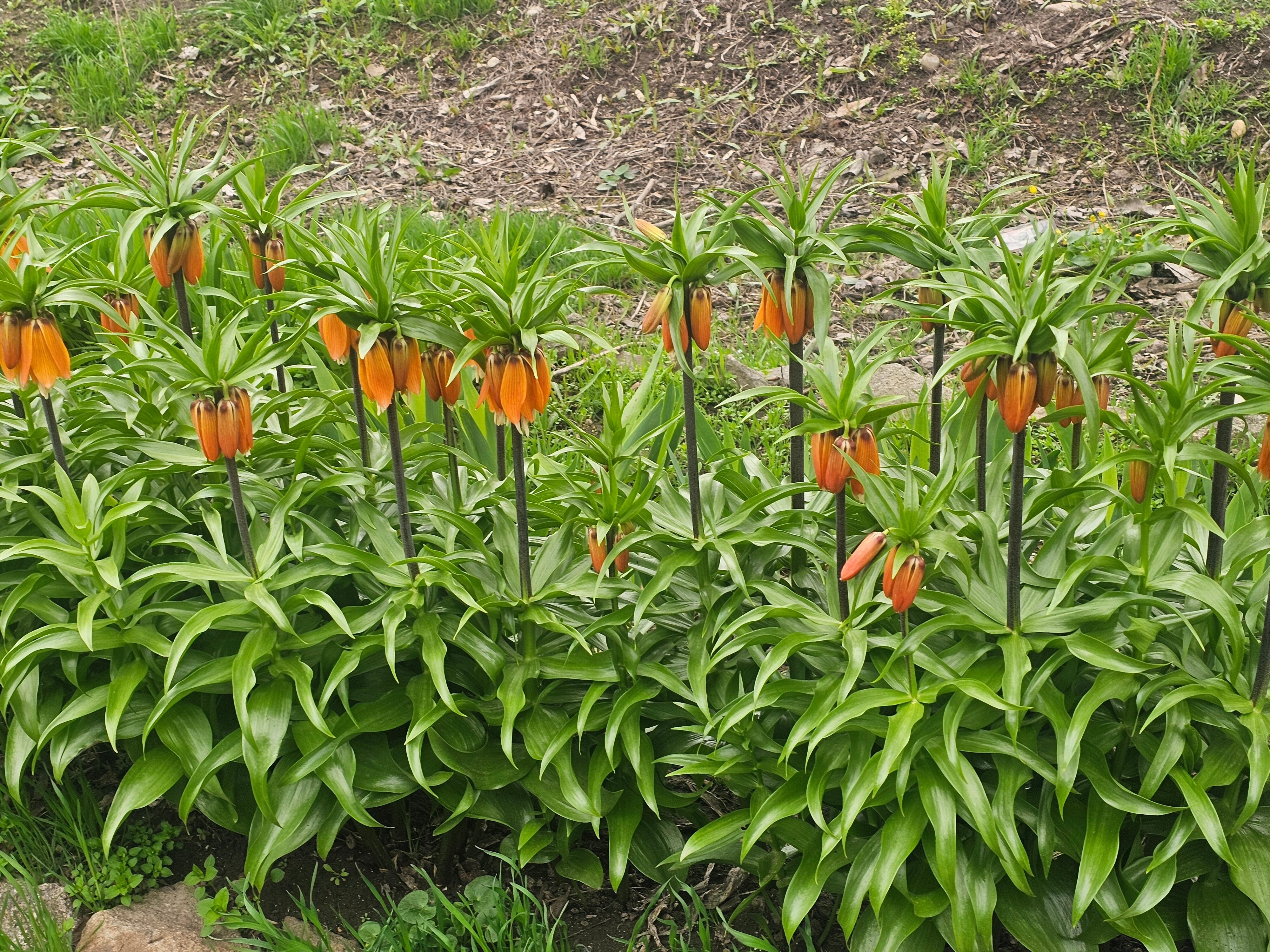 Фото Гостиница у Лукоморья