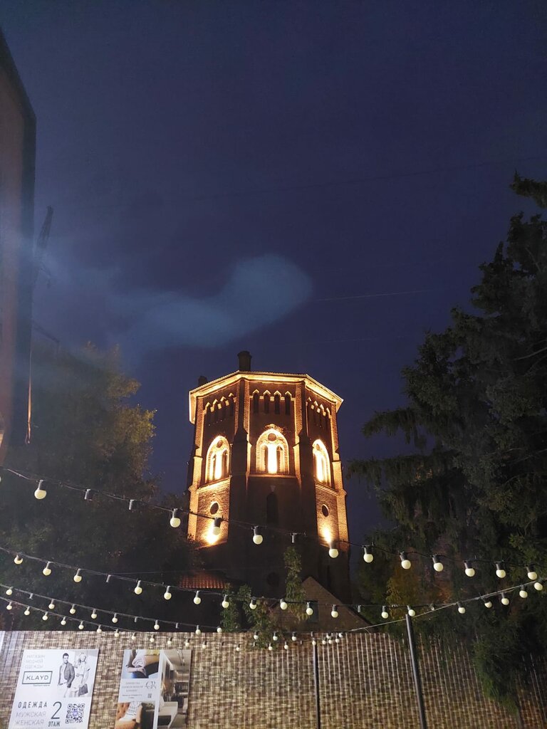 Cleaning services Clean river, Voronezh Oblast, photo