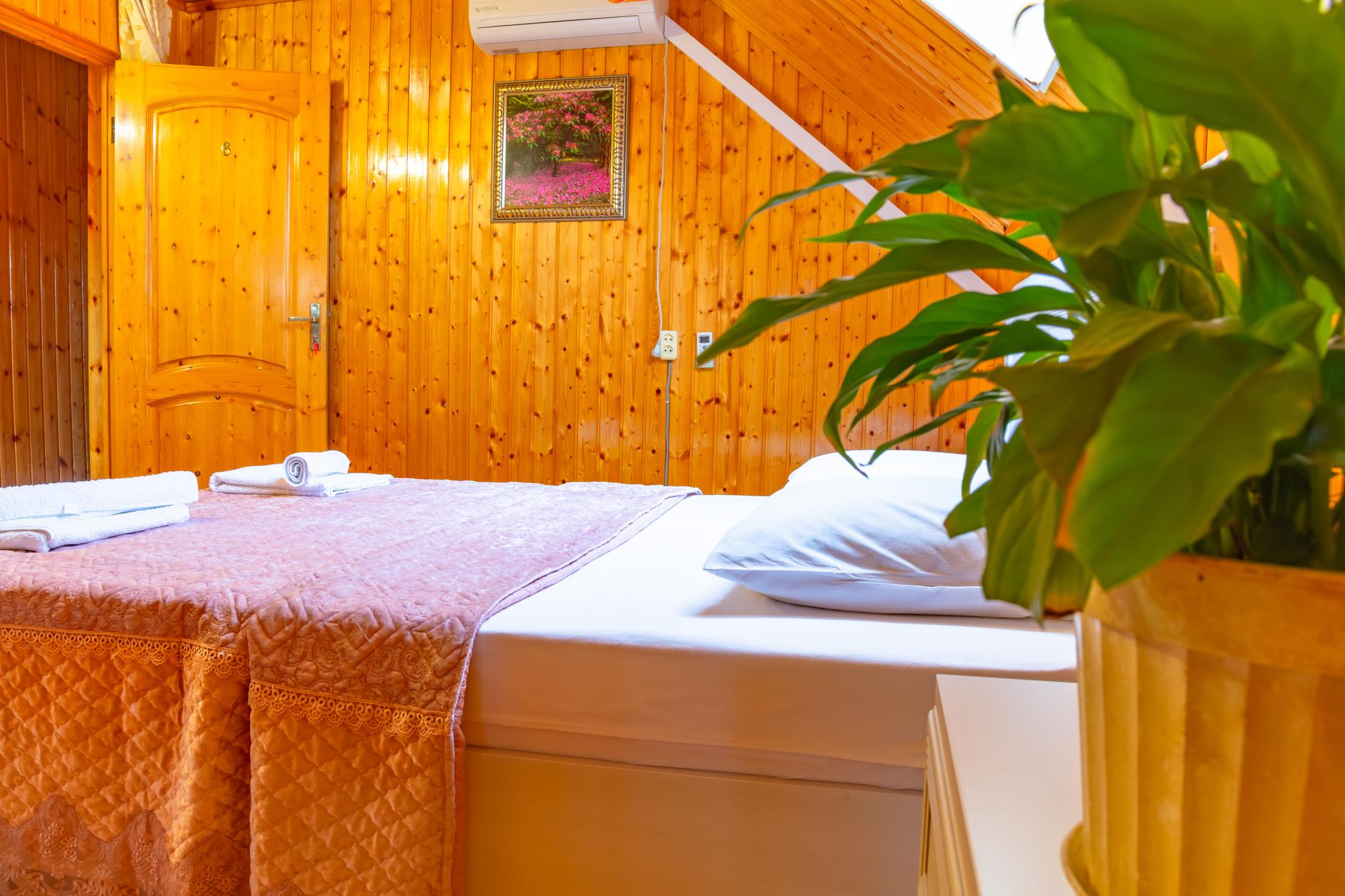 Фото Аэлита