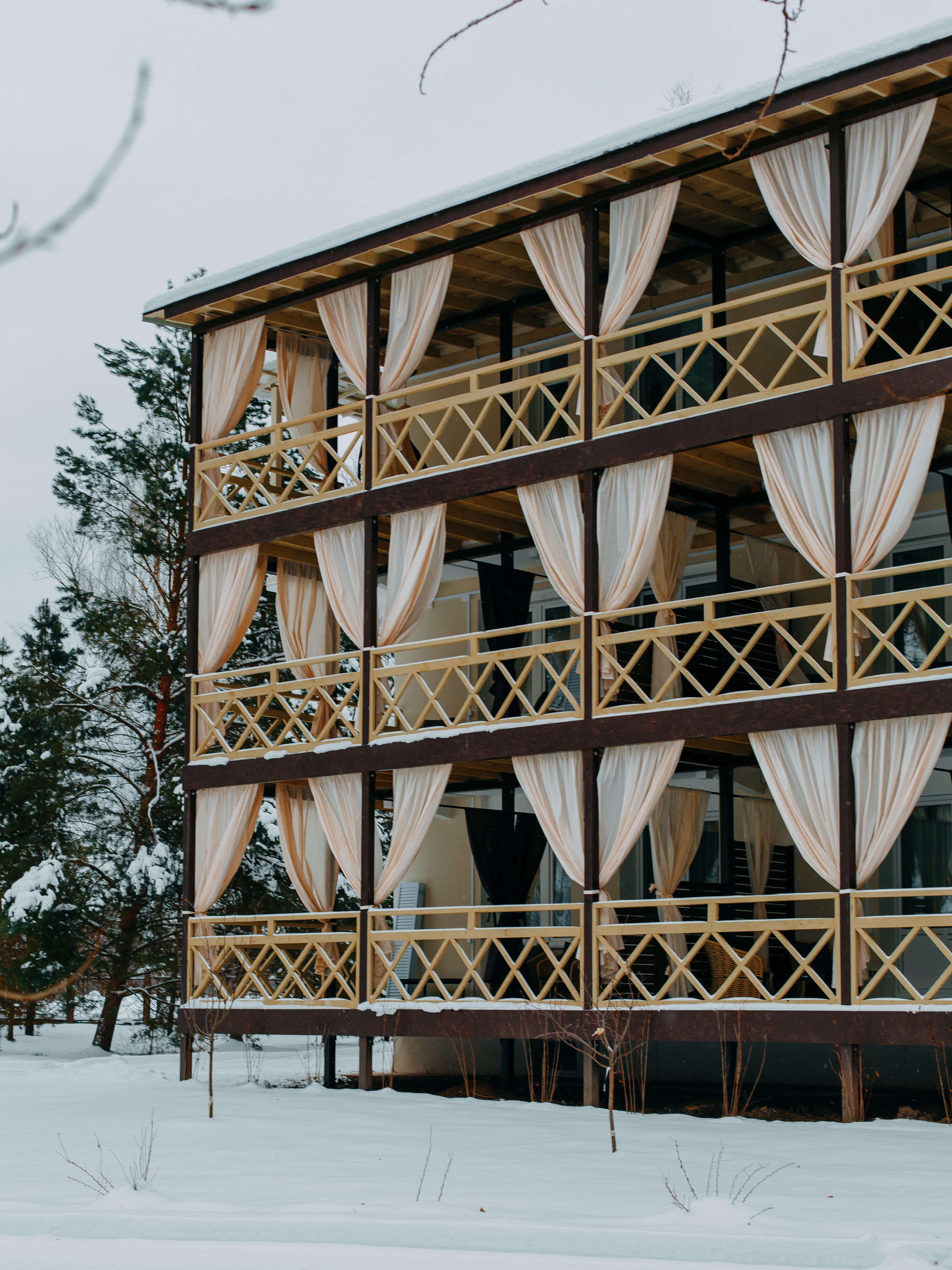 Фото Хвоя Бестужево