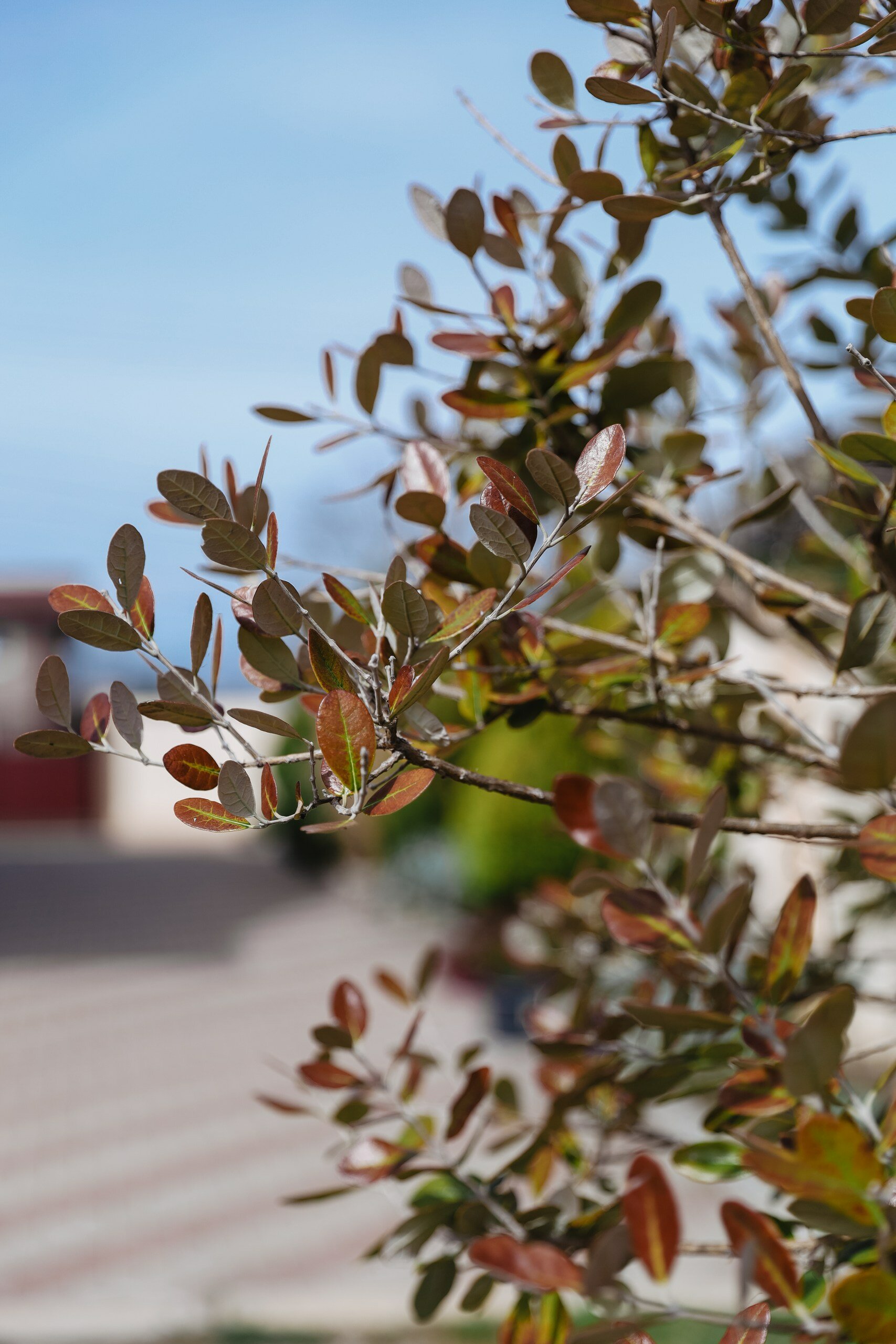 Фото Villa Verde