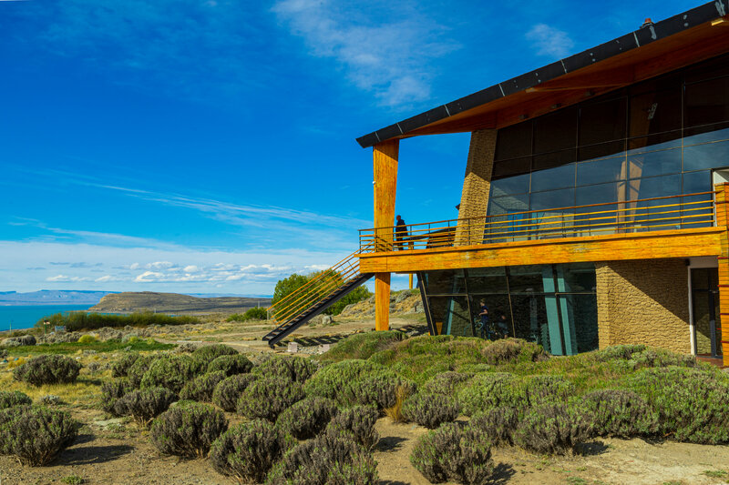 Гостиница Design Suites Calafate
