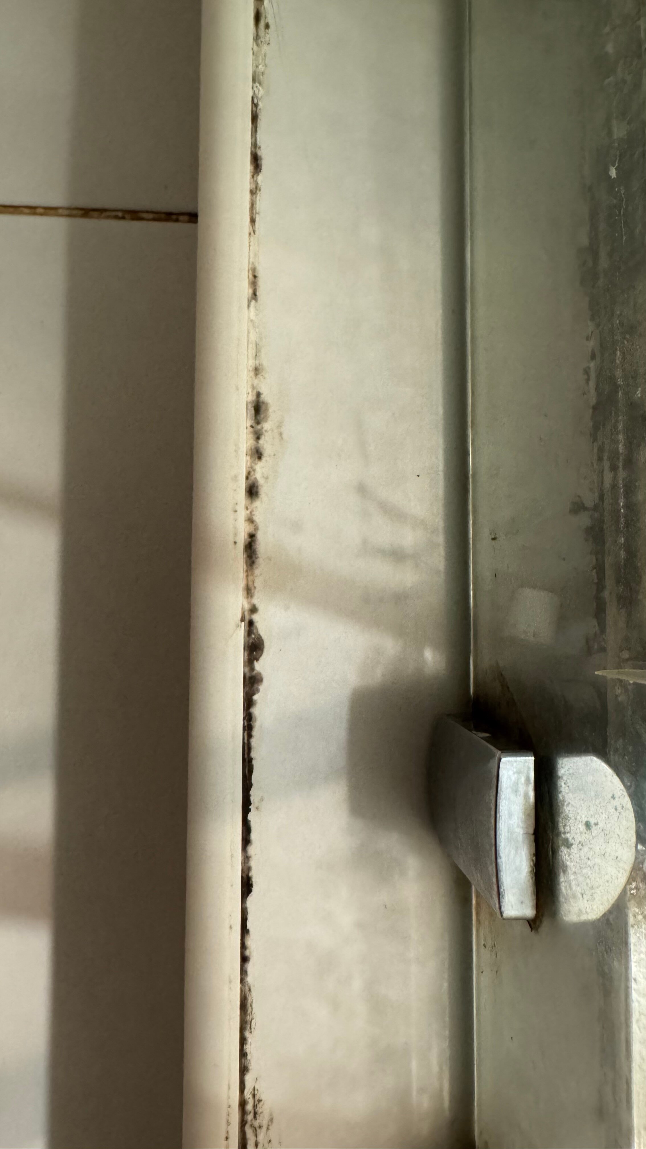 Фото Variant M50