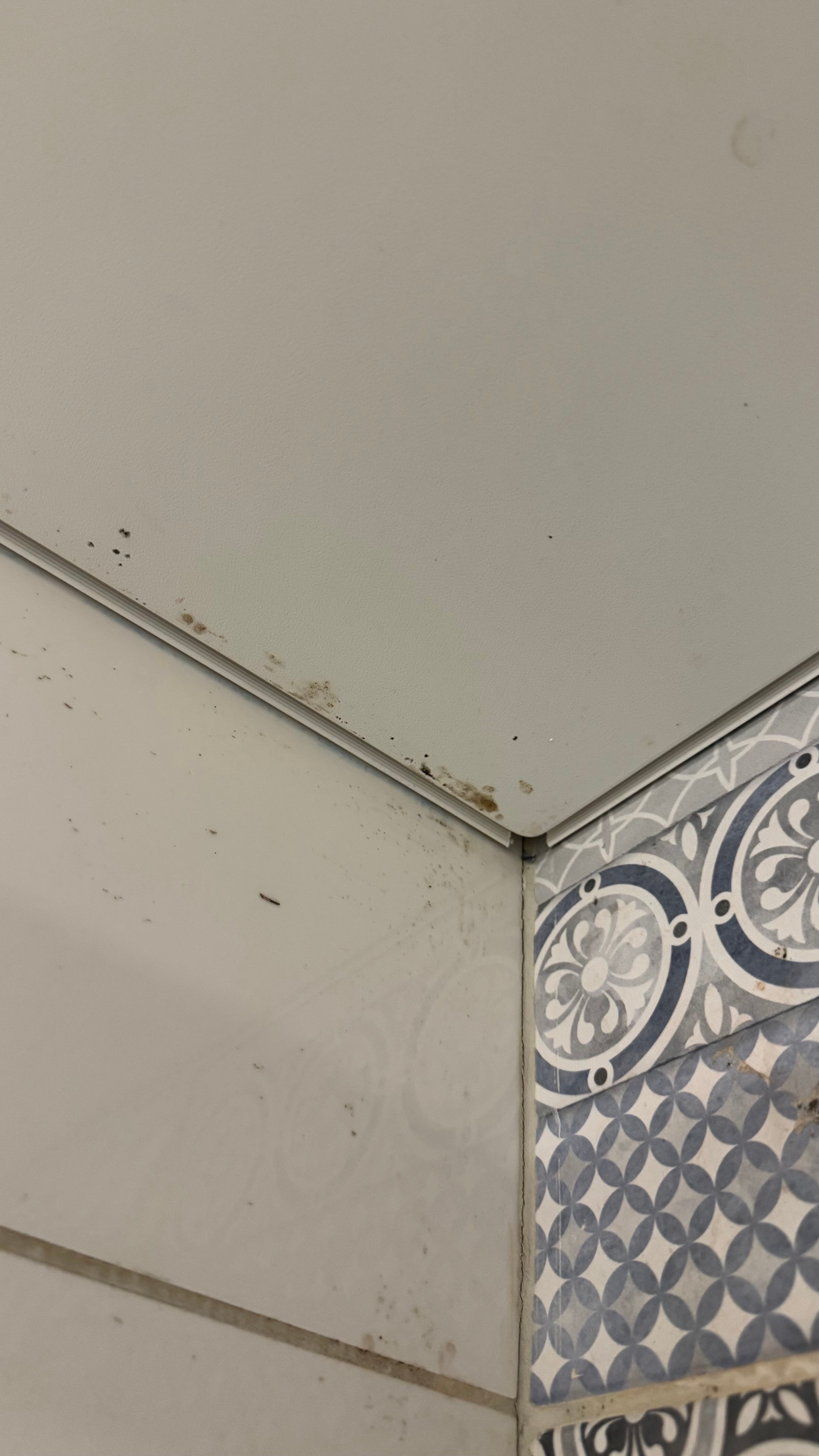 Фото Variant M50