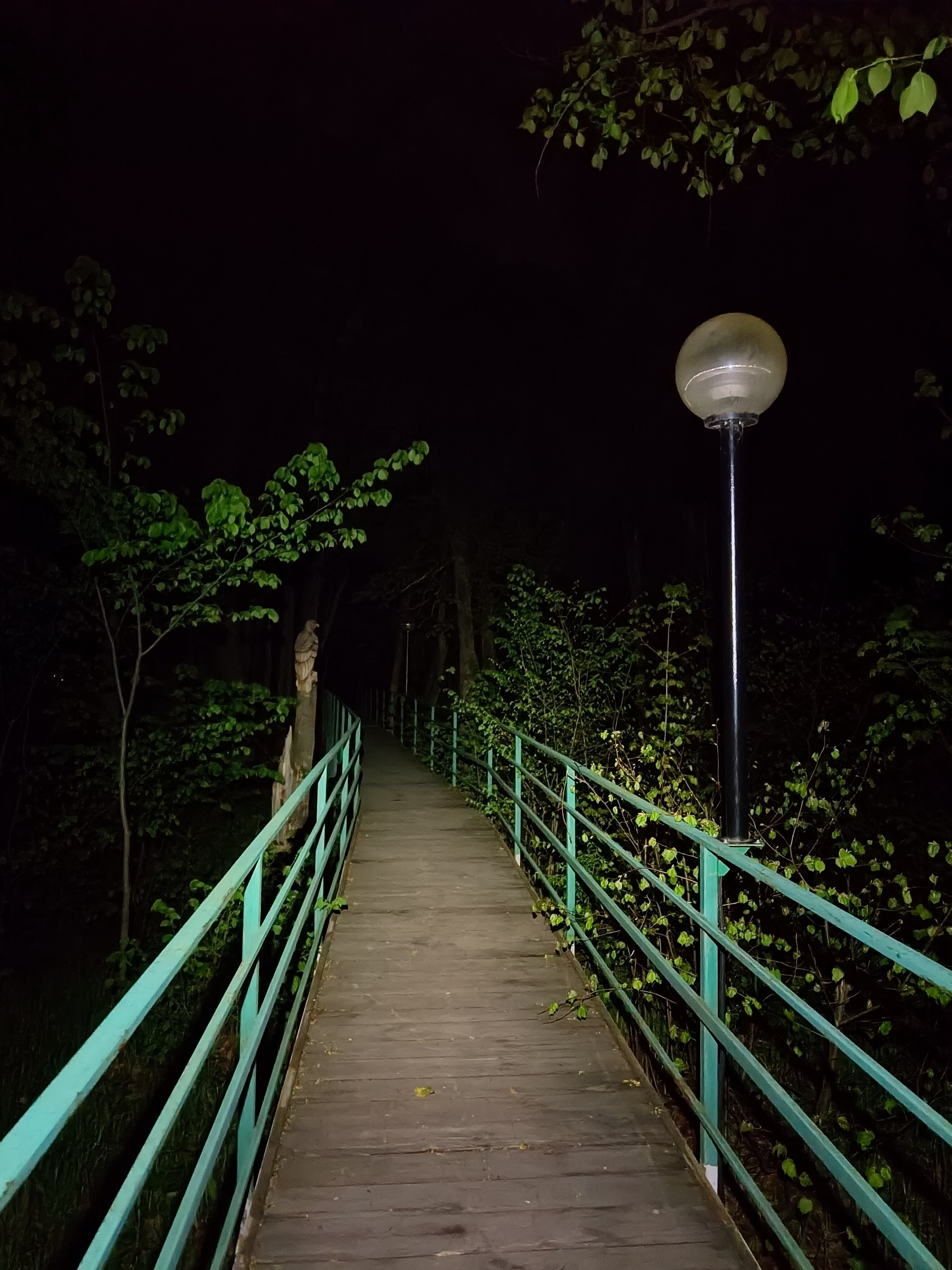 Фото Лесная дача