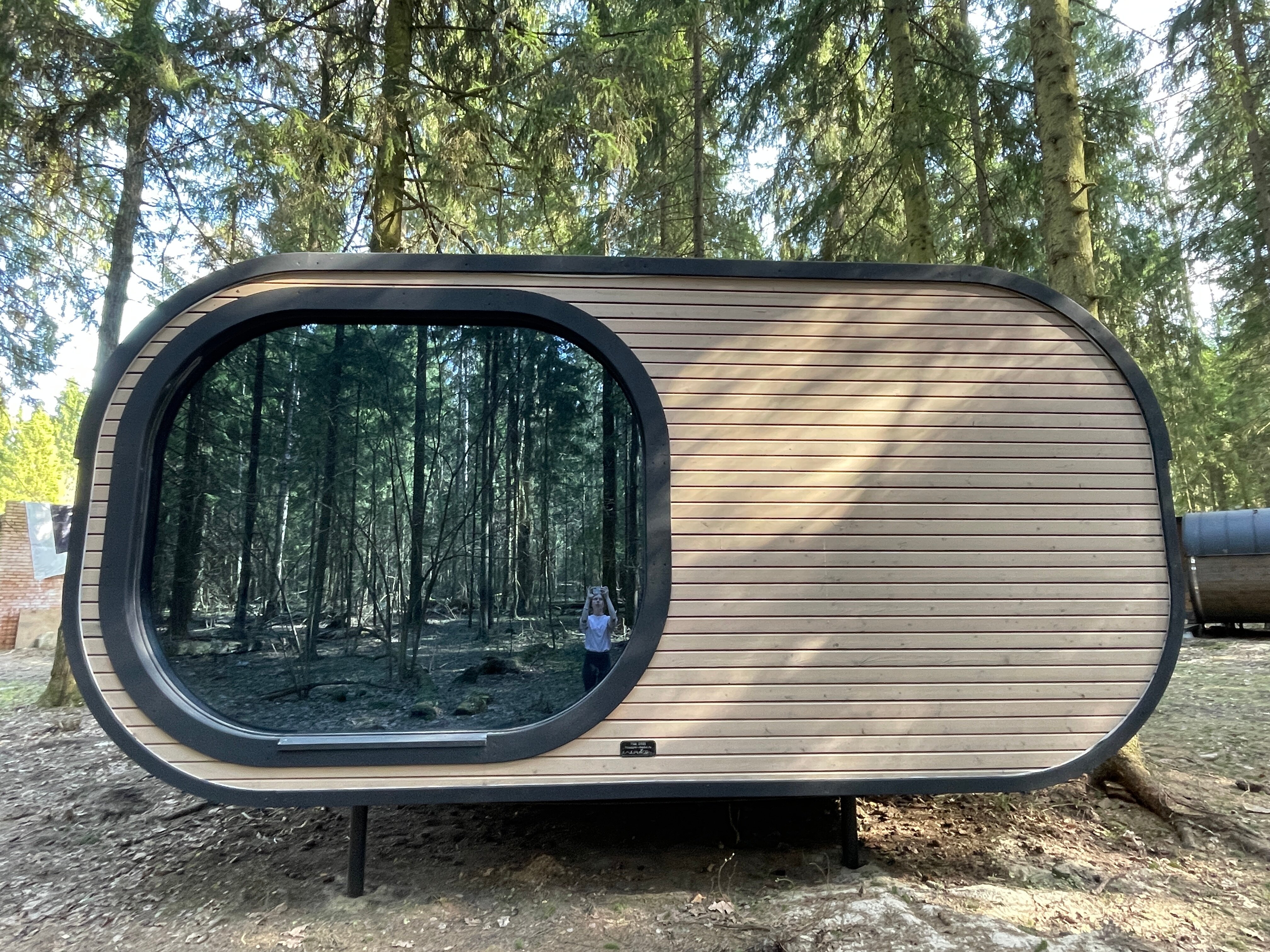 Фото Озеро белых лилий