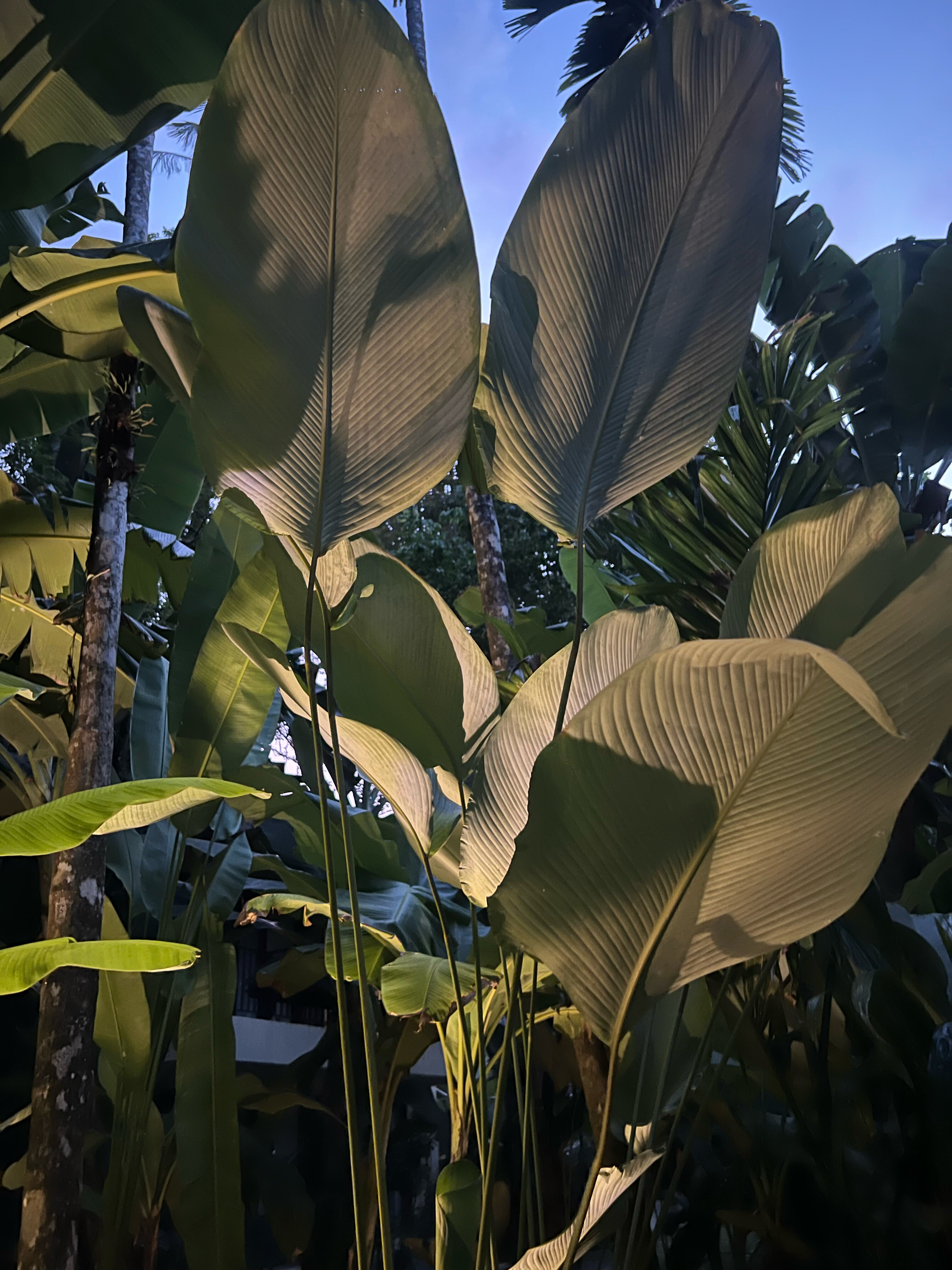 Фото Bangsak Village