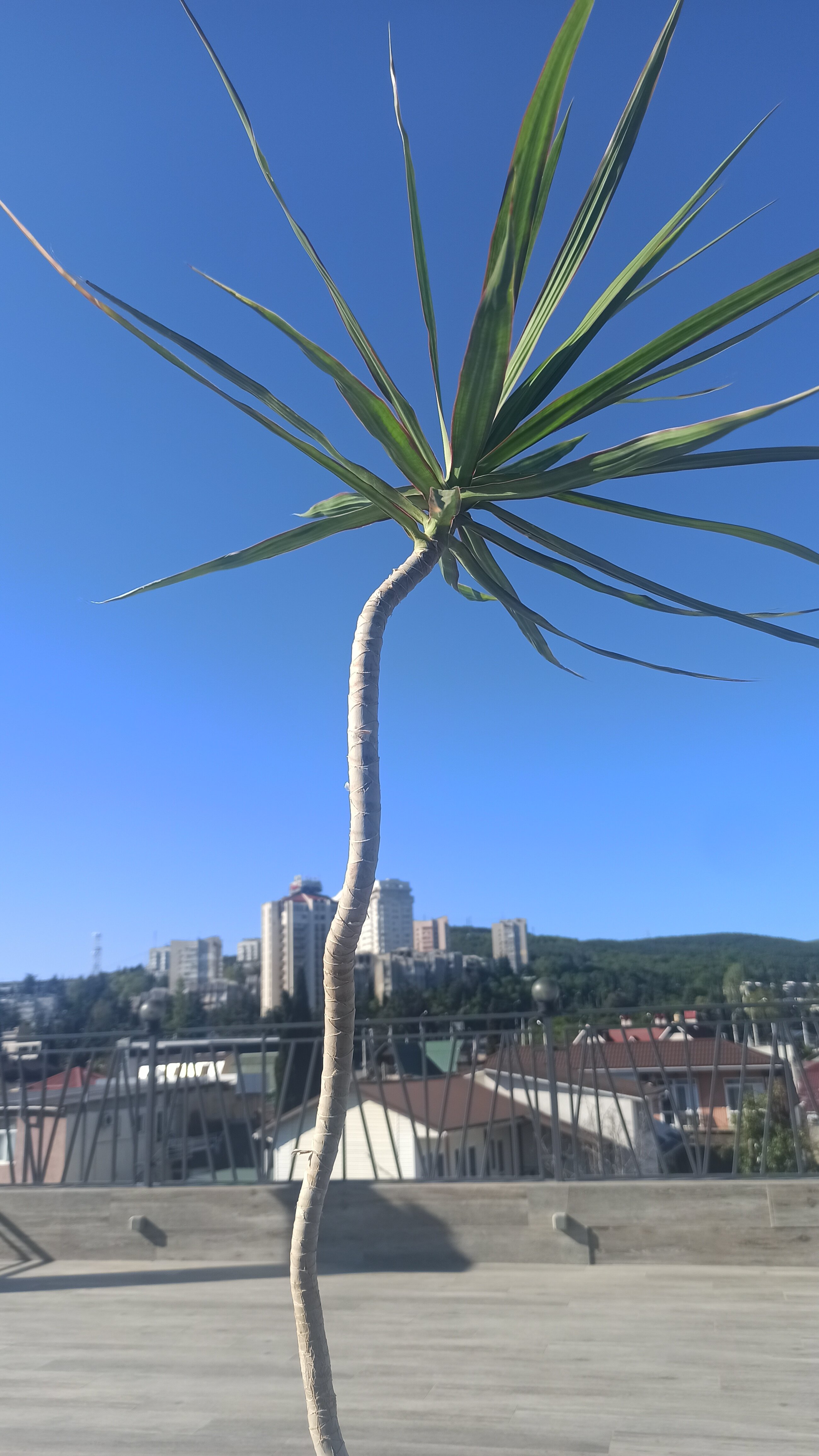 Фото У Анны