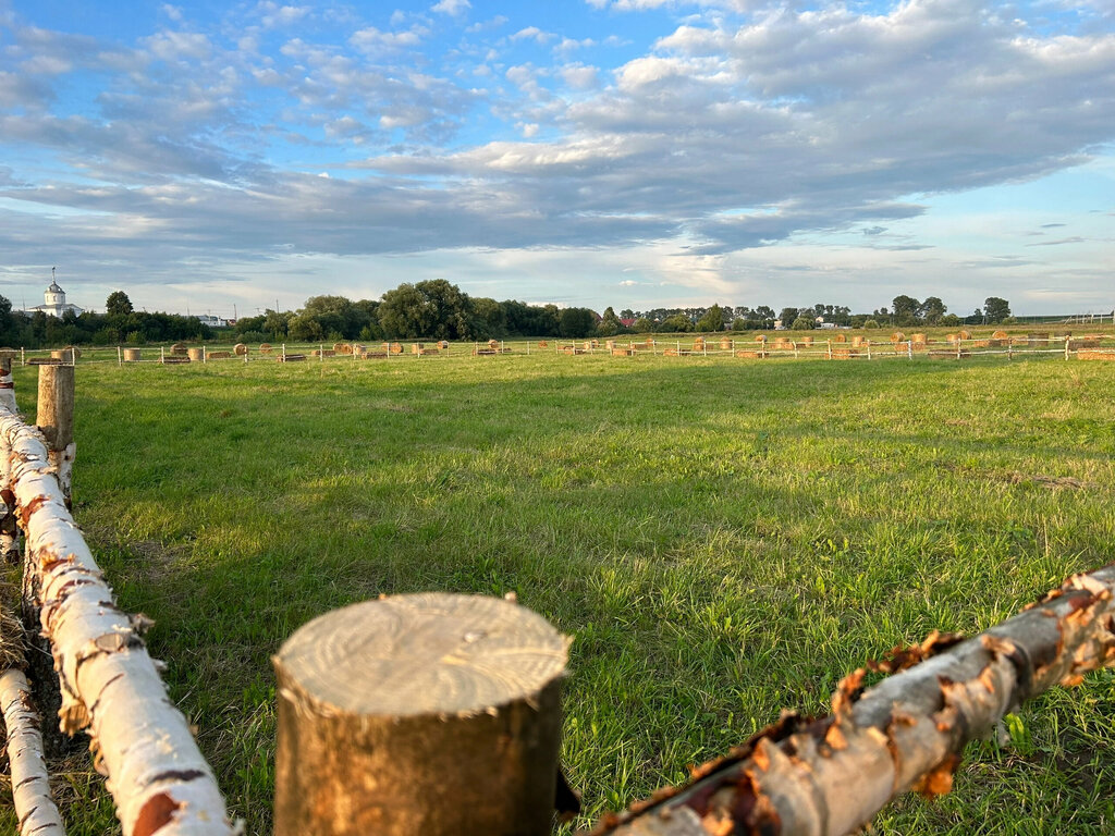 Nature Луг Лубенец, Gavrilov Posad, photo