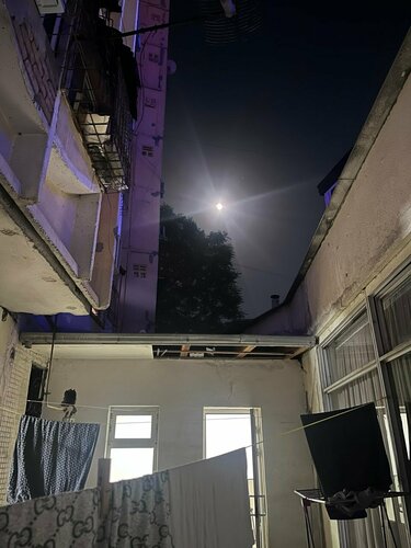 Katta jinni suratlar