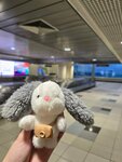 Unclaimed Baggage Room (Moscow Region, Domodedovo City District, Domodedovo Airport, 1), luggage service