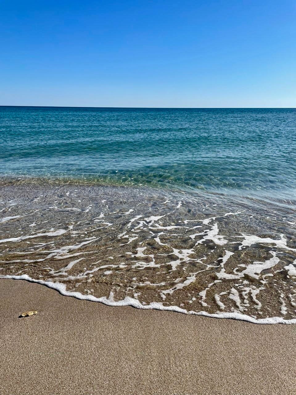 Фото Эко Домики Лаванда