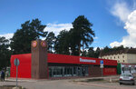 Pomponchik (posyolok gorodskogo tipa Snegiri, Moskovskaya Street, вл14), cafe