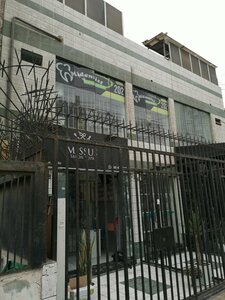 Missus (Distrital Breña, Garden City, Avenida Brasil, 2358), spa