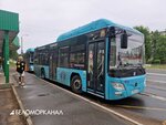 Рико (Arkhangelskoye shosse, 24), bus transportation