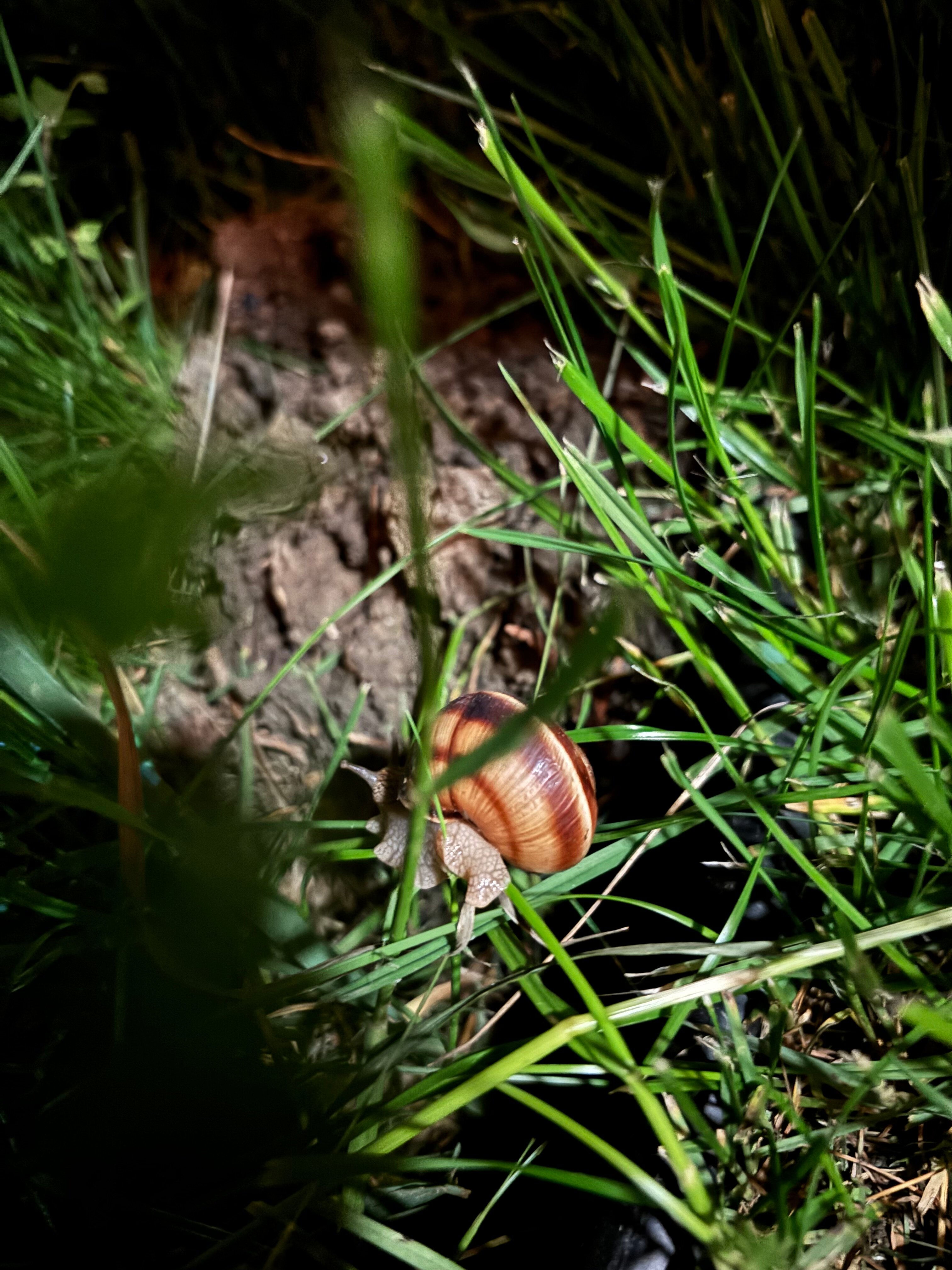 Фото Дыхание Адыгеи