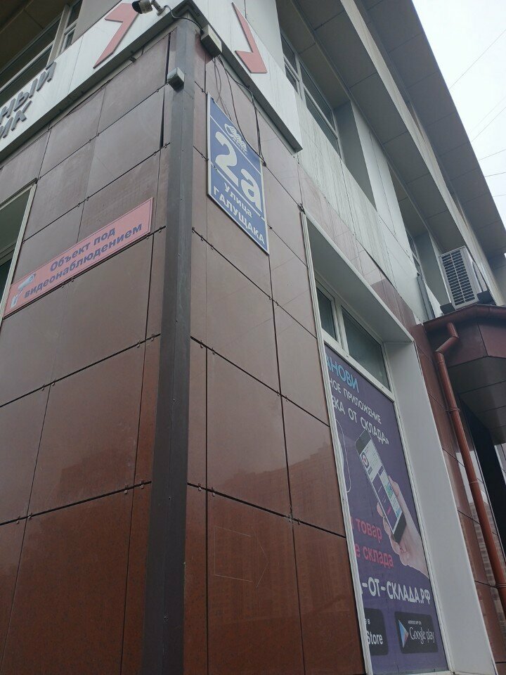 Business consulting New York Pizza, Novosibirsk, photo
