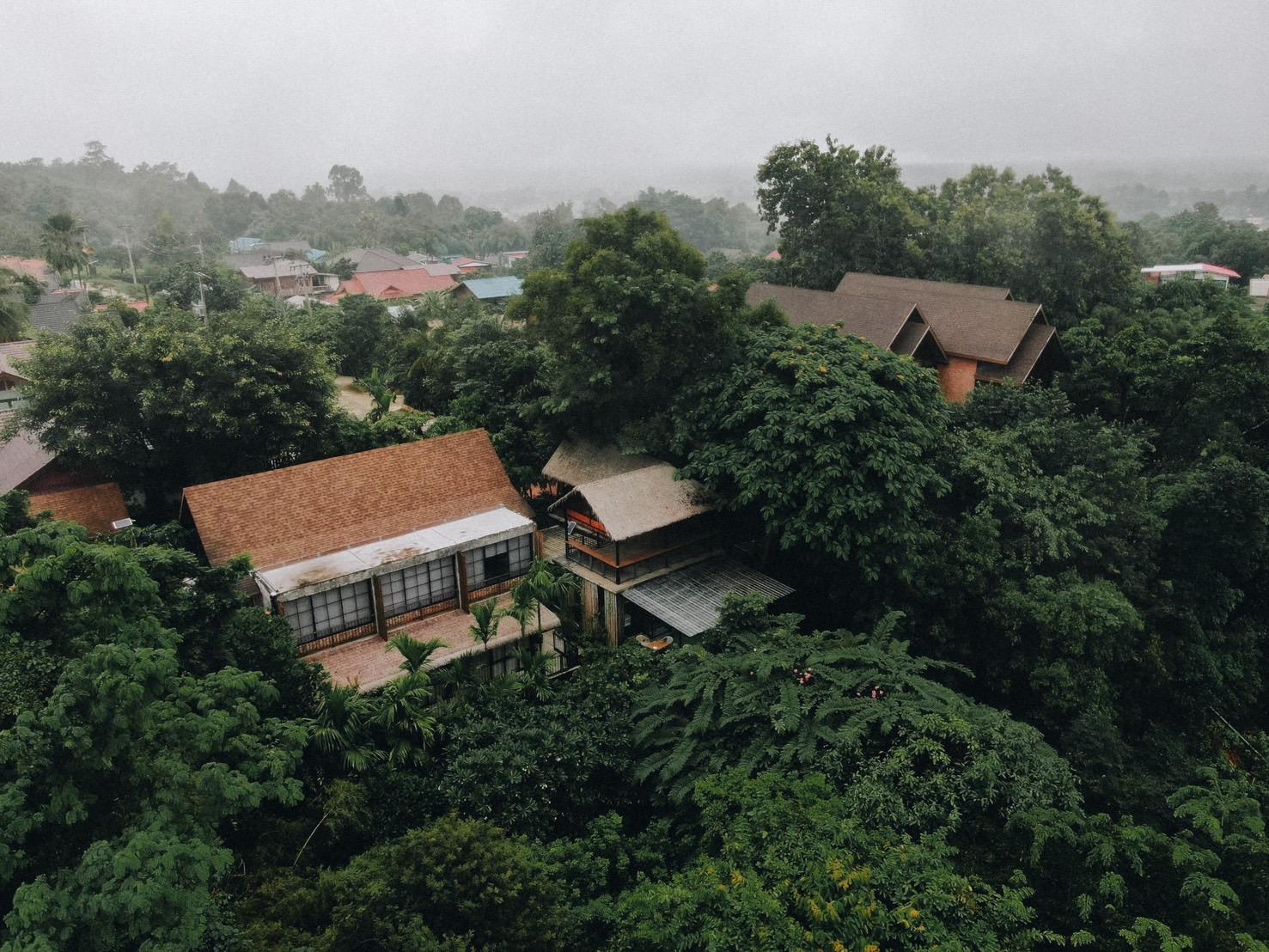 Фото Cocoa Valley Resort