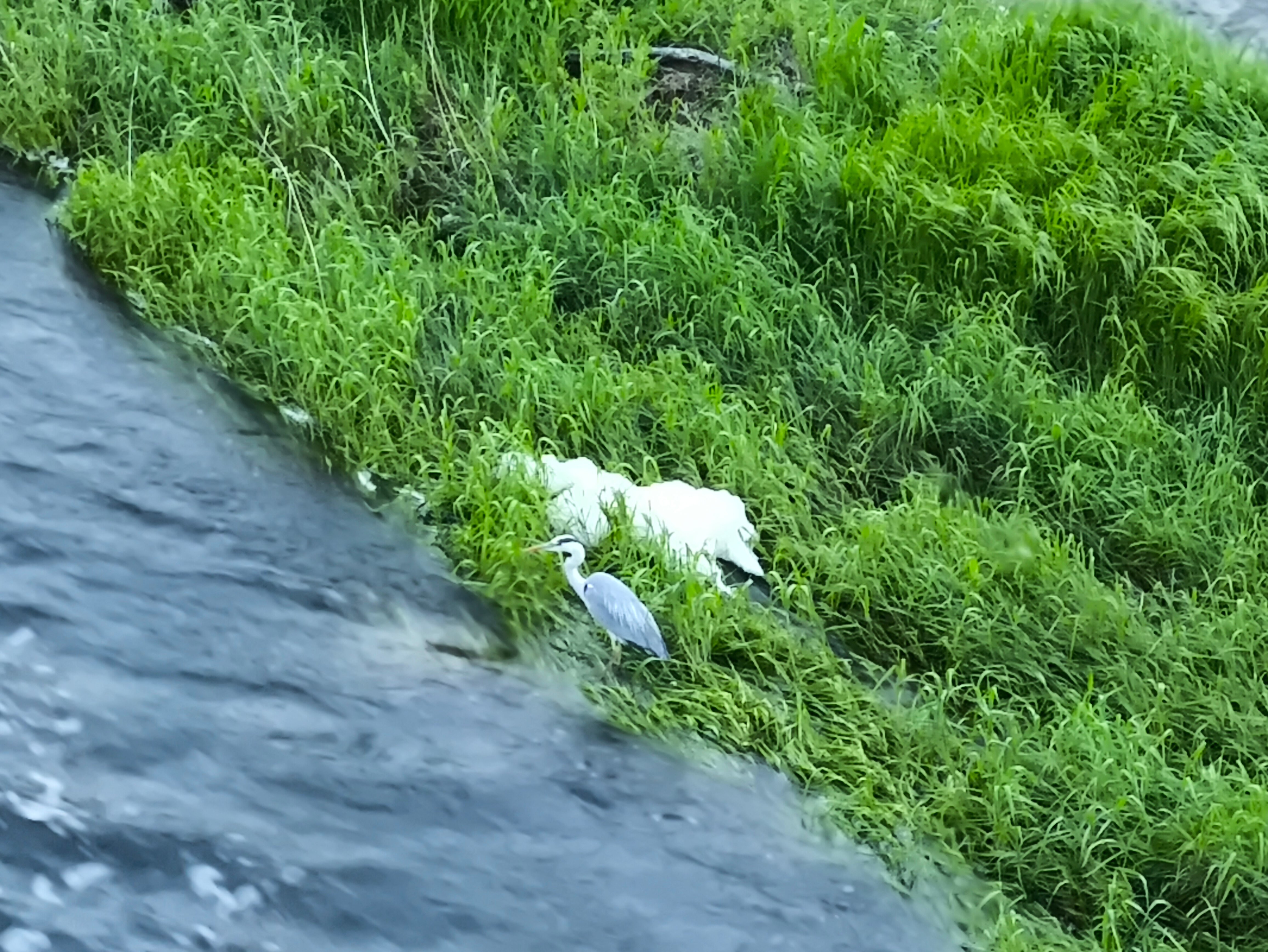 Фото Гостевой дом на Верхне-Береговой