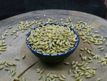 Fodder and feed additives Sürücü Toprak Mahsulleri Tic. San, Konya, photo