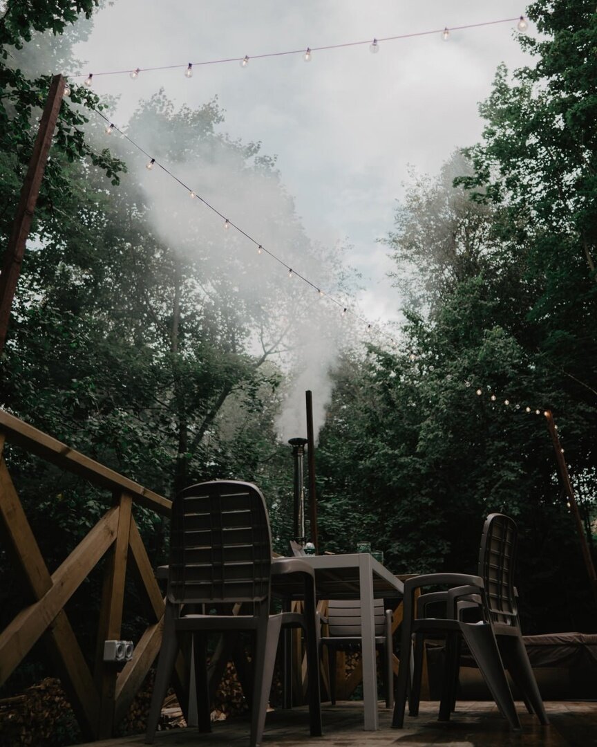 Фото Клевер