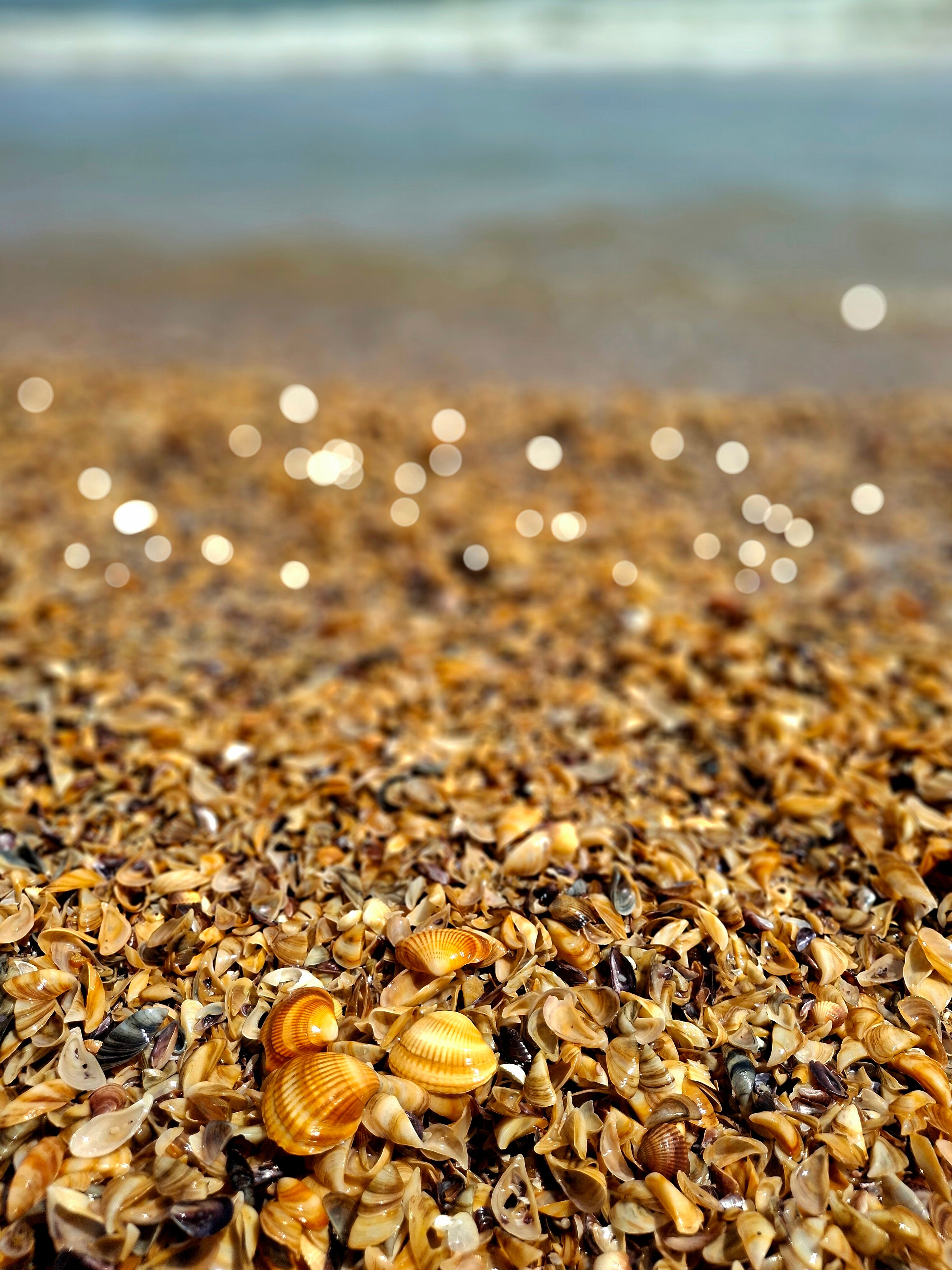 Фото TS Дербент