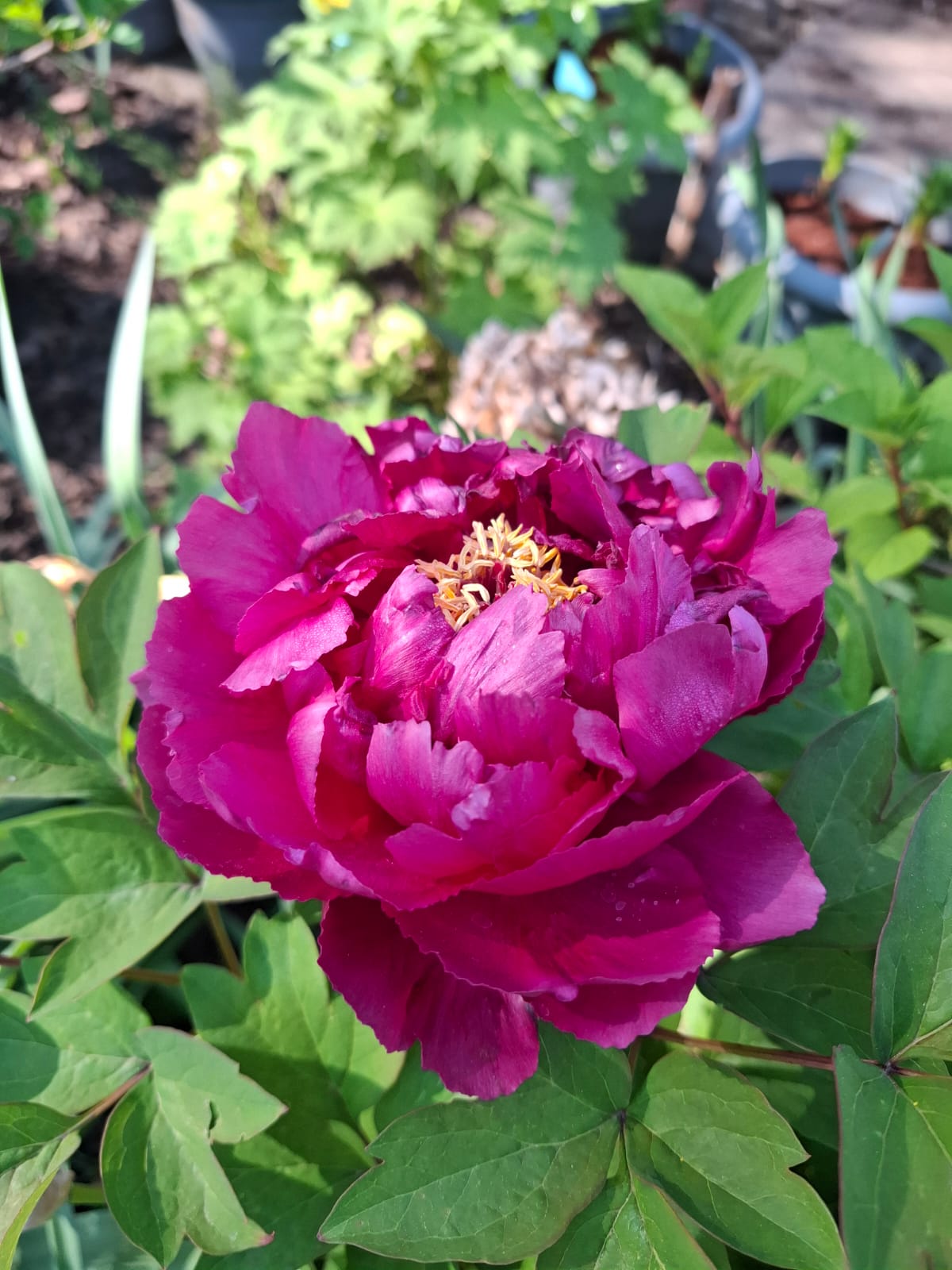 Фото Abrau Garden