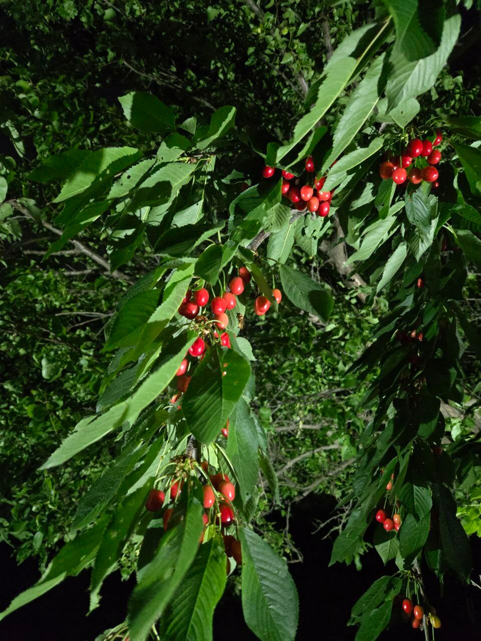 Фото В Тарках