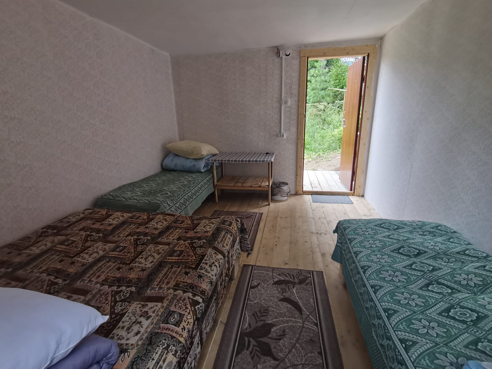 Фото Кедровый берег