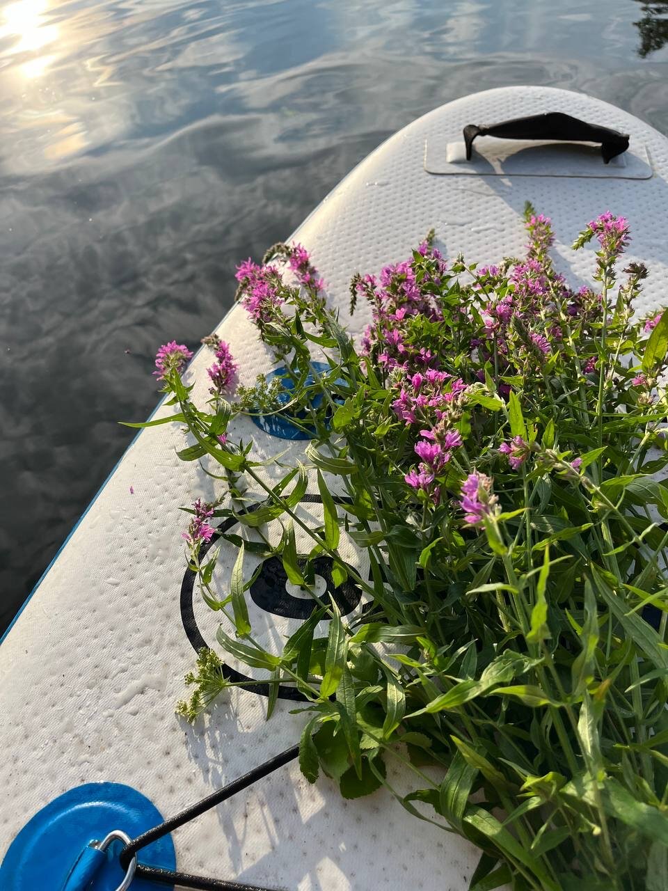 Фото Черкасский затон