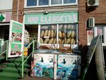 Мир восточных сладостей (Melnichnaya ulitsa, 87/4), confectionary