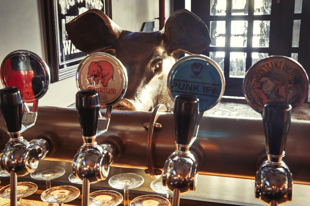 Свинья и роза, бар, паб, Трубная ул., 14, Москва, Россия