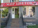 Мир цветов (ulitsa Lenina, 95), flower shop