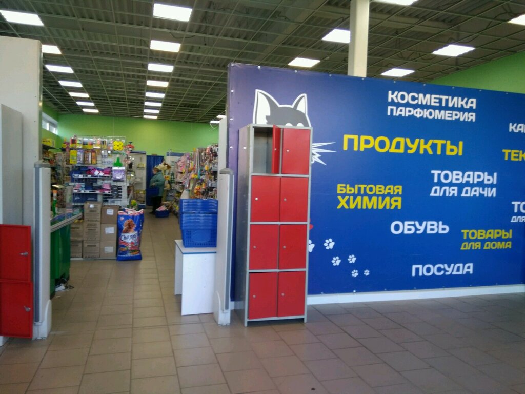 Магазин Котов Санкт Петербург