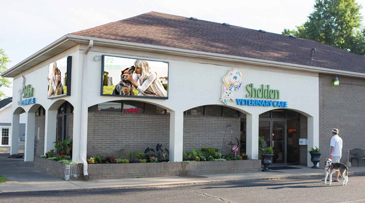 Vca Shelden Animal Hospital