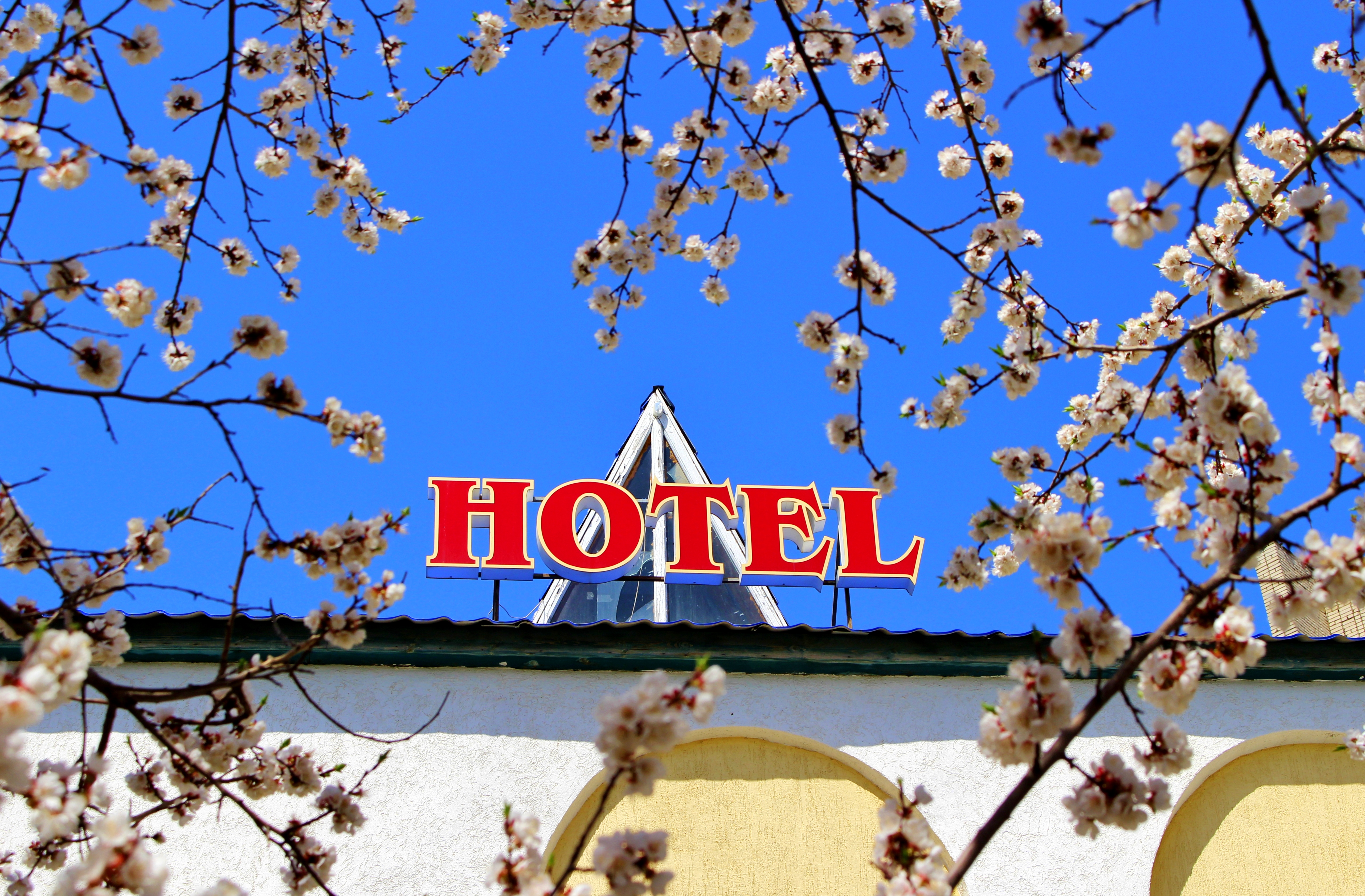 Фото отеля 2