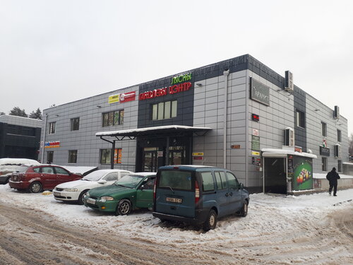 Shopping mall Лесной, Minsk District, photo