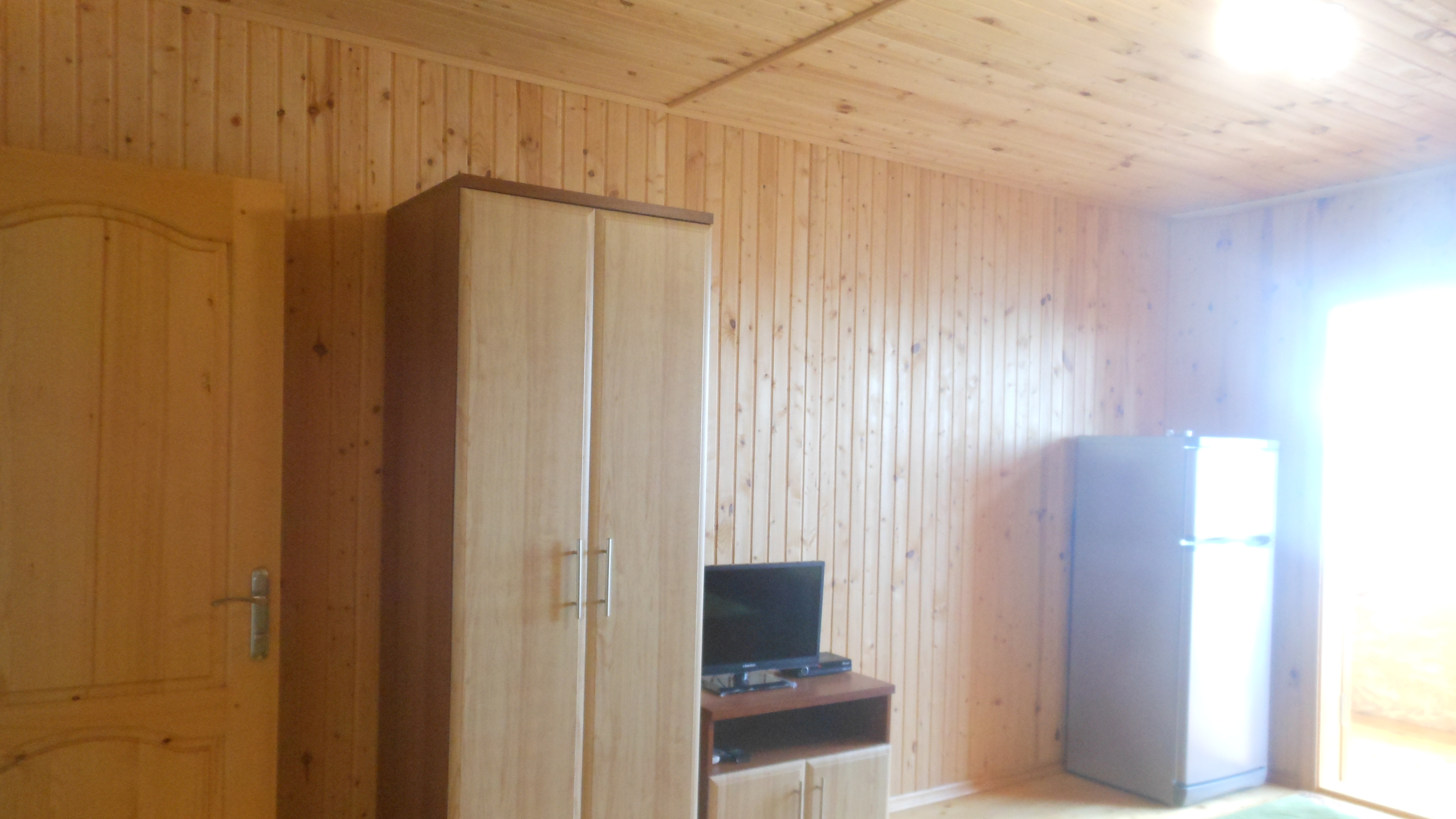 Фото Афалина