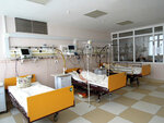 Healthcare Institution Svisloch Central Regional Hospital (17 Vierasnia Street, 3), hospital para adultos