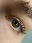 Markova Studio (Maxim Gorky Street, 17), eyebrow and eyelash salon
