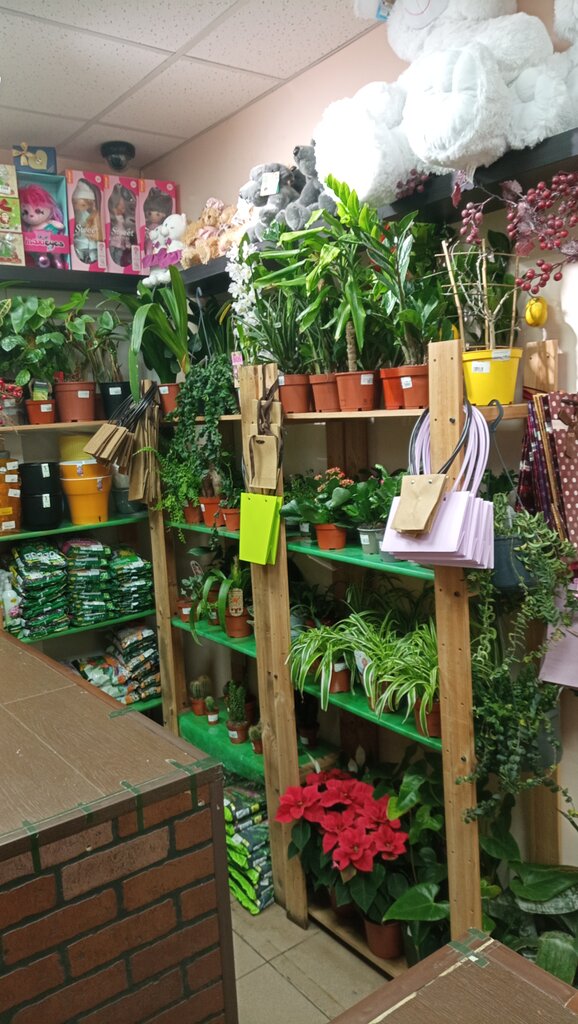 Flower shop Cvetochnii Ryad, Moscow, photo