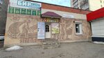 Pushinka (Voronezh, Barrikadnaya Street, 37А), domestic services