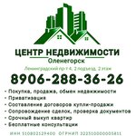 Центр Недвижимости (Leningradskiy Avenue, 4) ، وكالة عقارية