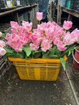 Жёлтые тюльпаны (просп. Красного Знамени, 37, Владивосток), магазин цветов во Владивостоке