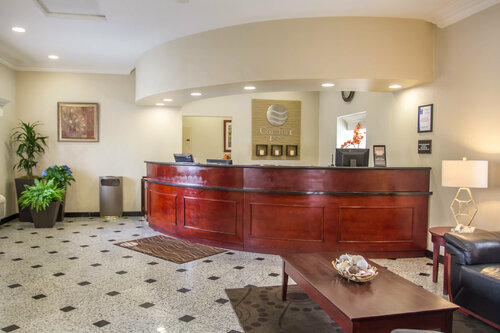 فندق Comfort Inn Cockatoo near Lax Airport ، ولاية كاليفورنيا، صورة