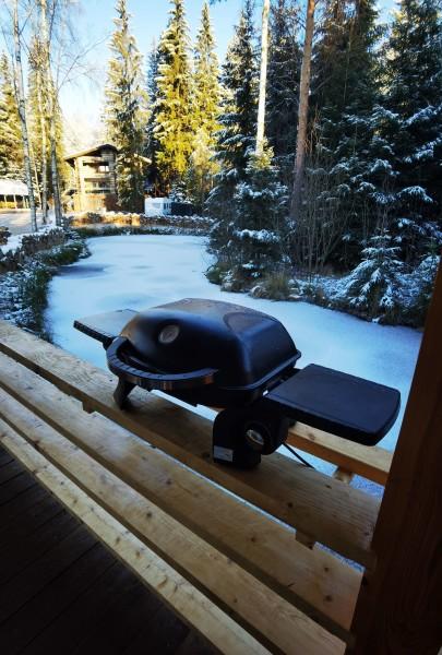 Фото Парк Лесок