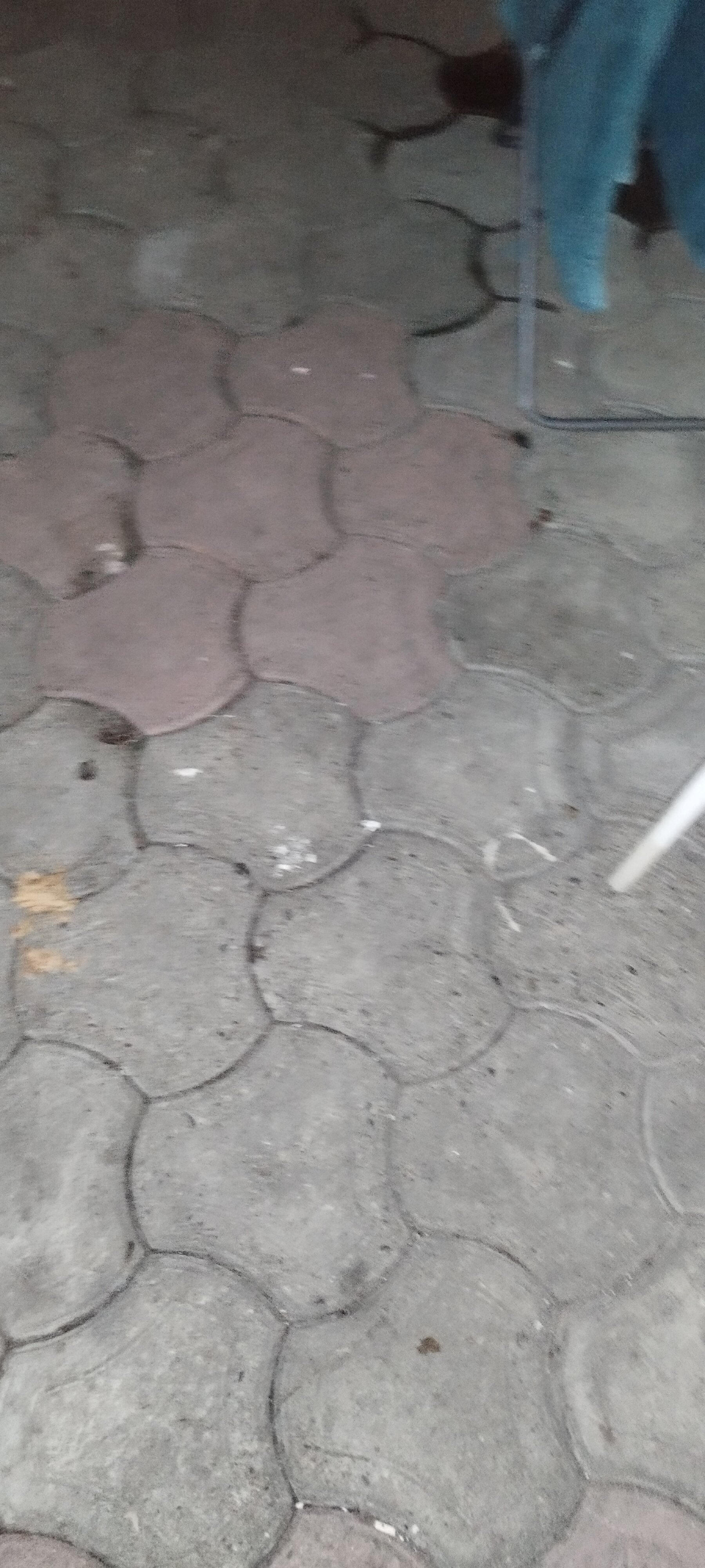 Фото Колосок