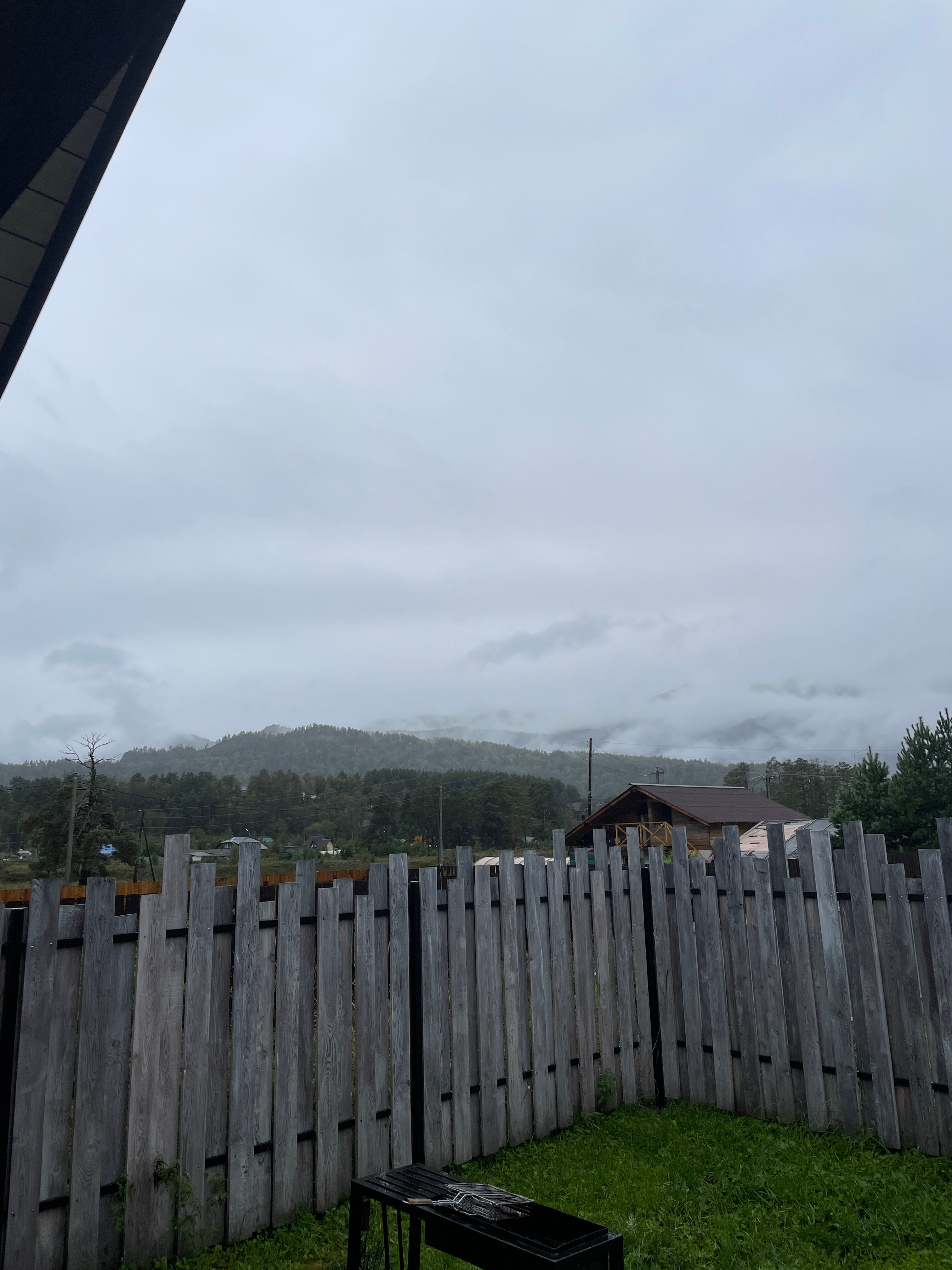 Фото White dragon